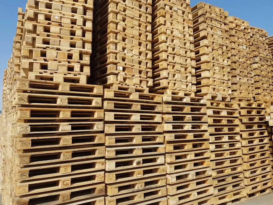 Palettes de Turkuaz Patron
